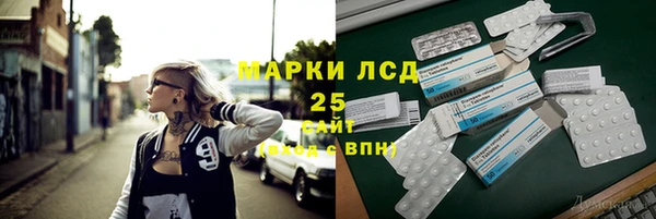 индика Белоозёрский