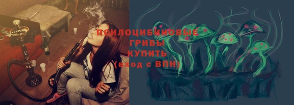 молекула духа Белокуриха
