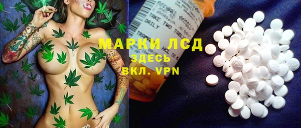 индика Белоозёрский