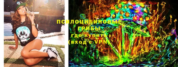 индика Белоозёрский