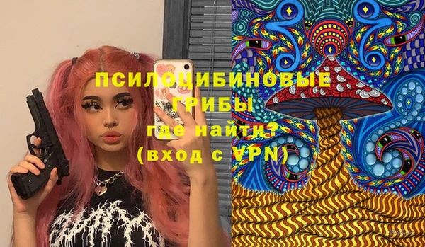 индика Белоозёрский