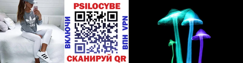 Псилоцибиновые грибы Cubensis  Болотное 